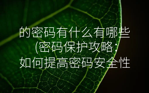 的密码有什么有哪些 (密码保护攻略：如何提高密码安全性？)