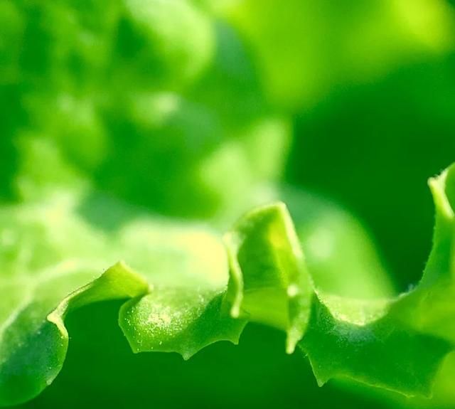 雾视疗法怎么配镜,雾视镜的雾视量怎么算图32