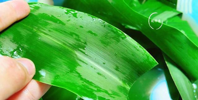 水煮粽叶放什么料 粽叶煮几分钟最好煮好还泡吗