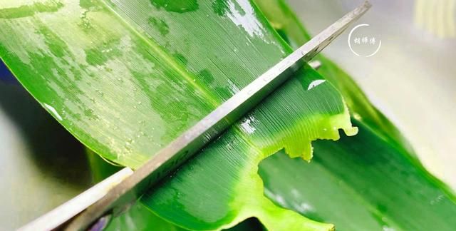水煮粽叶放什么料,粽叶煮几分钟最好煮好还泡吗图3