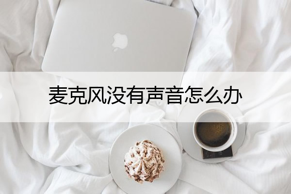 麦克风没有声音怎么办 电脑快手直播伴侣麦克风没有声音怎么办