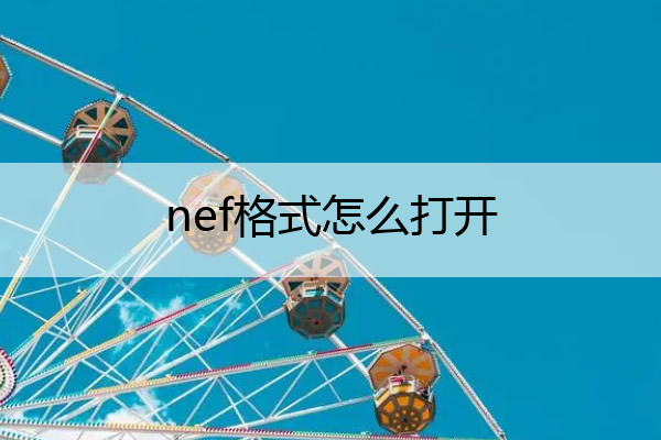 nef格式怎么打开 nef格式打开变暗