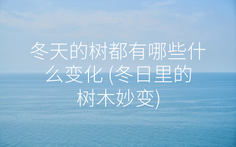 冬天的树都有哪些什么变化 (冬日里的树木妙变)