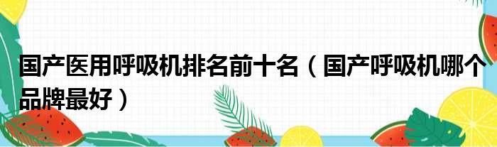 国产医用呼吸机排名前十名 国产呼吸机哪个品牌最好