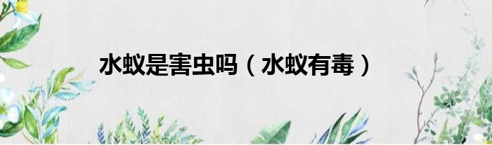 水蚁是害虫吗 水蚁有毒