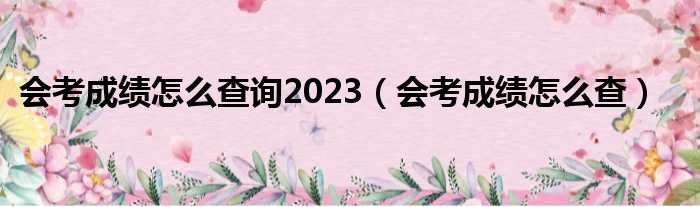 会考成绩怎么查询2023 会考成绩怎么查