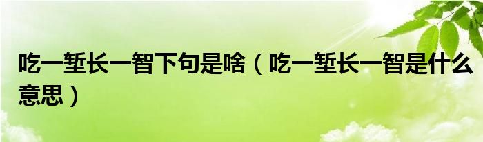 吃一堑长一智下句是啥 吃一堑长一智是什么意思