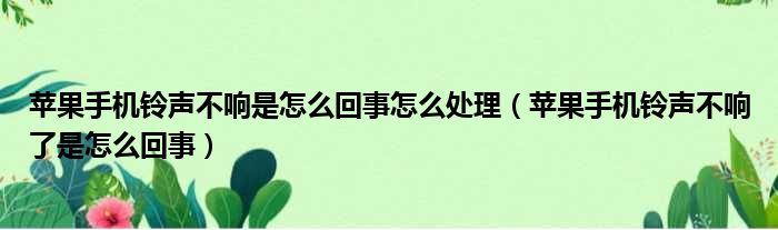 苹果手机铃声不响是怎么回事怎么处理 苹果手机铃声不响了是怎么回事