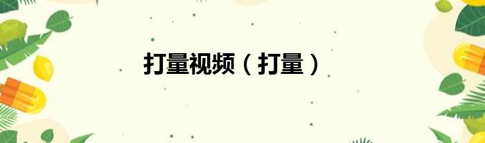 打量视频 打量