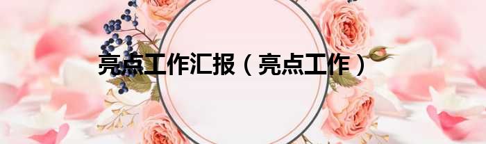 亮点工作汇报 亮点工作