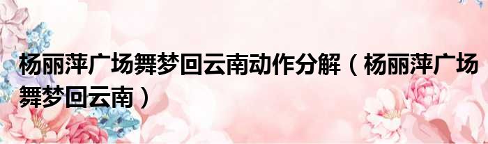 杨丽萍广场舞梦回云南动作分解 杨丽萍广场舞梦回云南