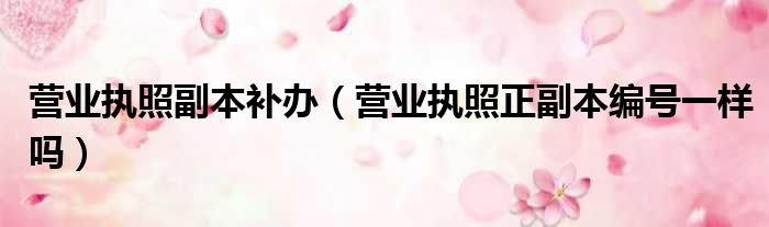 营业执照副本补办 营业执照正副本编号一样吗
