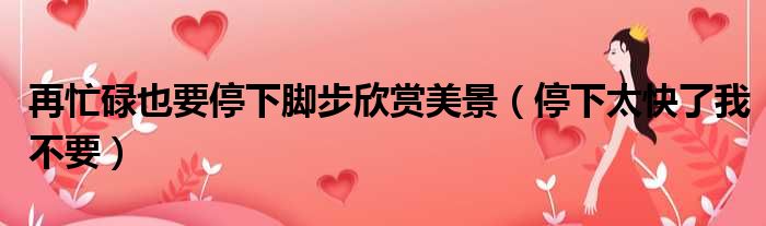 再忙碌也要停下脚步欣赏美景 停下太快了我不要