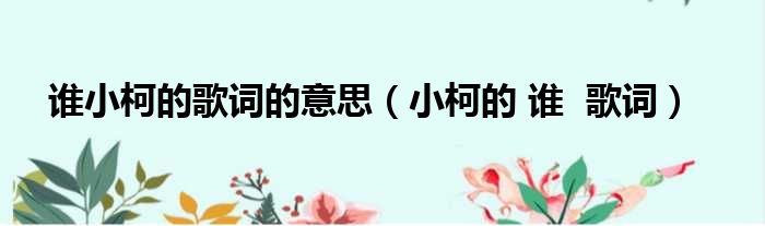 谁小柯的歌词的意思 小柯的 谁 歌词