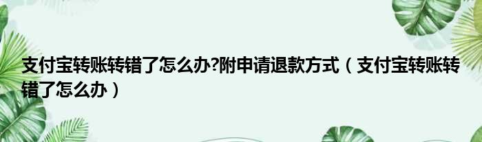支付宝转账转错了怎么办 附申请退款方式 支付宝转账转错了怎么办