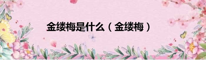 金缕梅是什么 金缕梅
