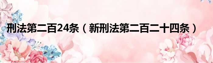 刑法第二百24条 新刑法第二百二十四条
