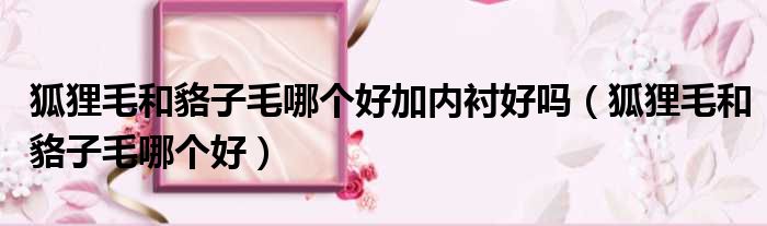 狐狸毛和貉子毛哪个好加内衬好吗 狐狸毛和貉子毛哪个好