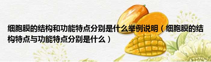 细胞膜的结构和功能特点分别是什么举例说明 细胞膜的结构特点与功能特点分别是什么