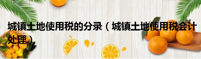 城镇土地使用税的分录 城镇土地使用税会计处理