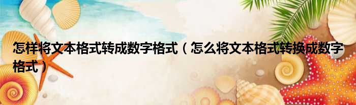 怎样将文本格式转成数字格式 怎么将文本格式转换成数字格式