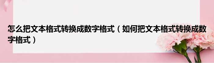 怎么把文本格式转换成数字格式 如何把文本格式转换成数字格式