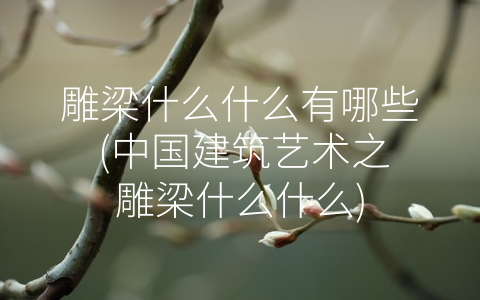 雕梁什么什么有哪些 (中国建筑艺术之雕梁什么什么)