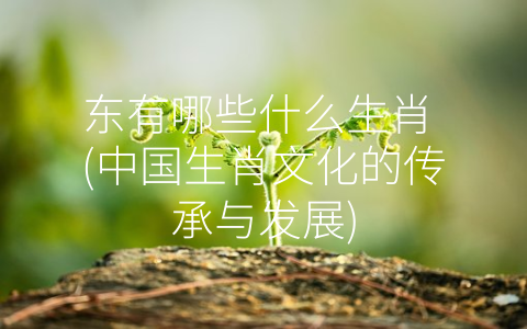 东有哪些什么生肖 (中国生肖文化的传承与发展)