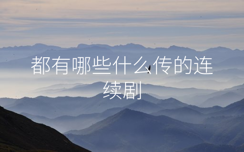 都有哪些什么传的连续剧