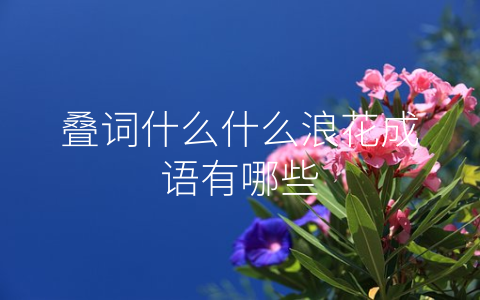 叠词什么什么浪花成语有哪些