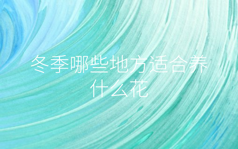 冬季哪些地方适合养什么花