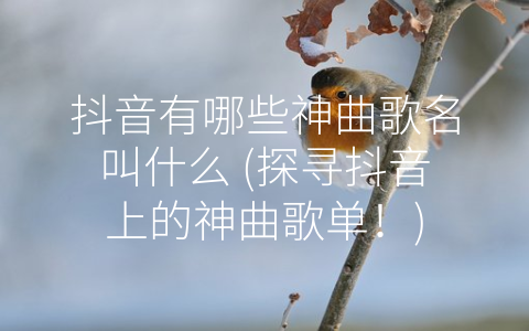 抖音有哪些神曲歌名叫什么 (探寻抖音上的神曲歌单！)