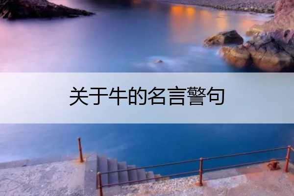 关于牛的名言警句 关于牛得名言警句