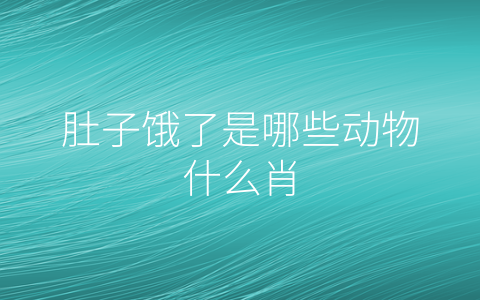 肚子饿了是哪些动物什么肖