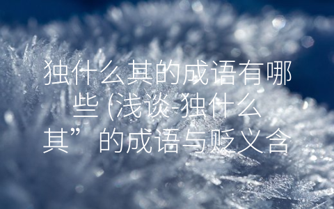 独什么其的成语有哪些 (浅谈-独什么其”的成语与贬义含义)