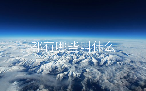 都有哪些叫什么