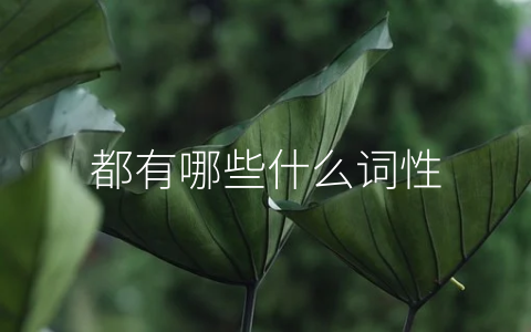都有哪些什么词性