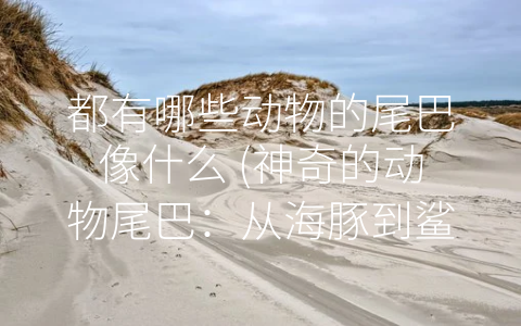 都有哪些动物的尾巴像什么 (神奇的动物尾巴：从海豚到鲨鱼的不同体现)