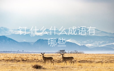 钉 什么什么成语有哪些