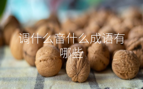 调什么音什么成语有哪些