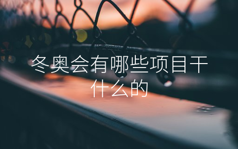 冬奥会有哪些项目干什么的