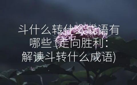 斗什么转什么成语有哪些 (走向胜利：解读斗转什么成语)