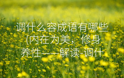 调什么容成语有哪些 (内在为美，修身养性——解读-调什么容”成语的涵义与传承。)