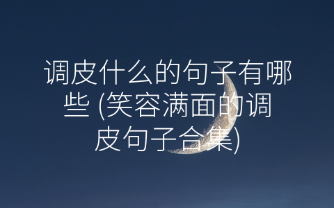 调皮什么的句子有哪些 (笑容满面的调皮句子合集)