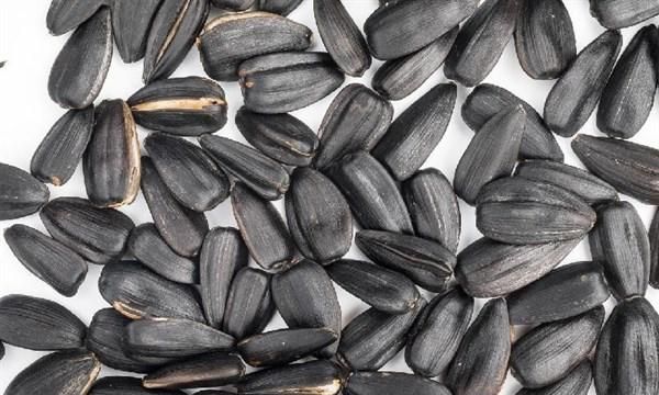 经常吃瓜子对身体有什么影响 哪种瓜子比较健康