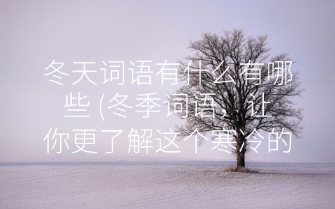 冬天词语有什么有哪些 (冬季词语，让你更了解这个寒冷的季节)