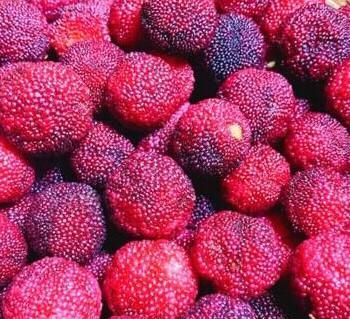 怎么自制杨梅酒 自制杨梅酒保质期多长时间