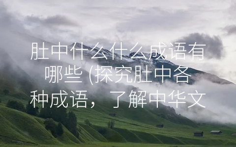 肚中什么什么成语有哪些 (探究肚中各种成语，了解中华文化的博大精深)