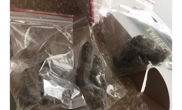 科普鸟在冬天吃些什么(冬天鸟吃什么)图5