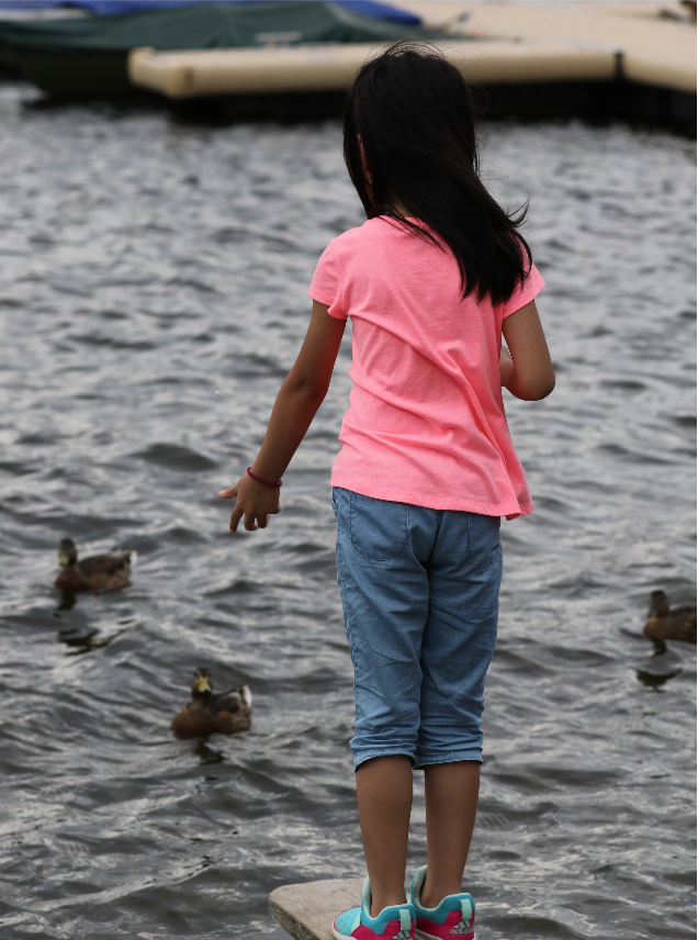 科普鸟在冬天吃些什么(冬天鸟吃什么)图14